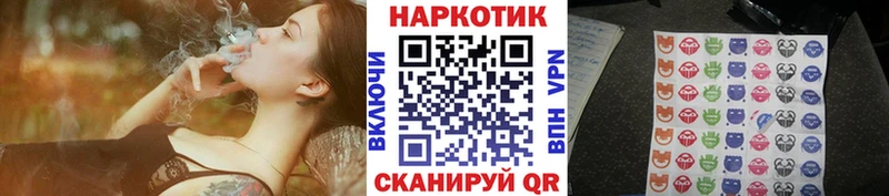 Где купить наркотики Ковдор A-PVP  Конопля  Меф  Гашиш 
