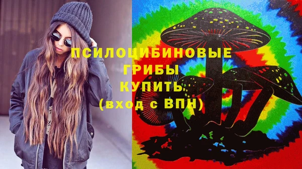 тгк Абдулино