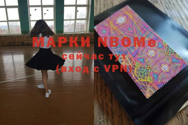 прущие грибы Абаза