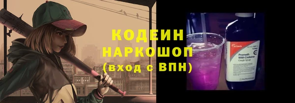 прущие грибы Абаза