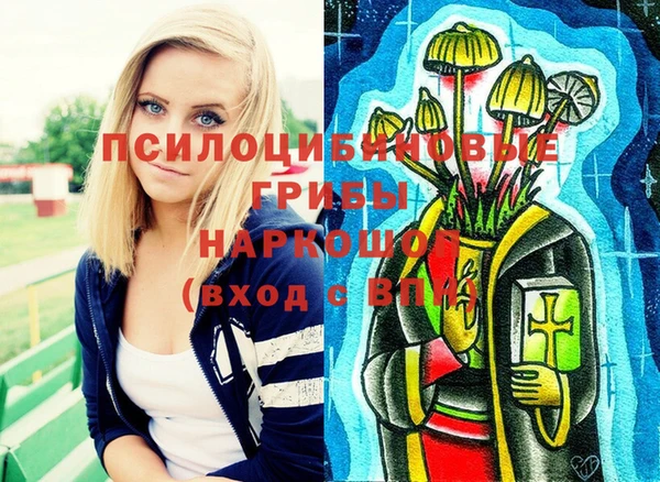 тгк Абдулино