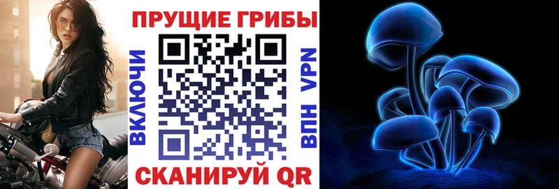 Псилоцибиновые грибы Magic Shrooms  darknet официальный сайт  Ковдор 