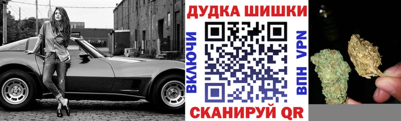 цена наркотик  мега ссылка  Конопля сатива  Ковдор 
